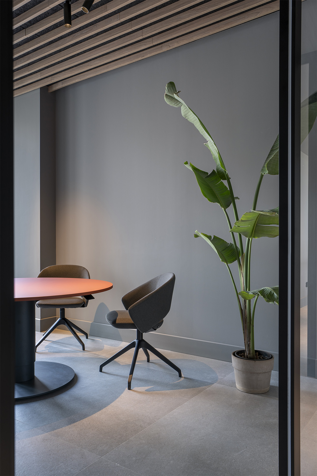 Mara Adercarta office