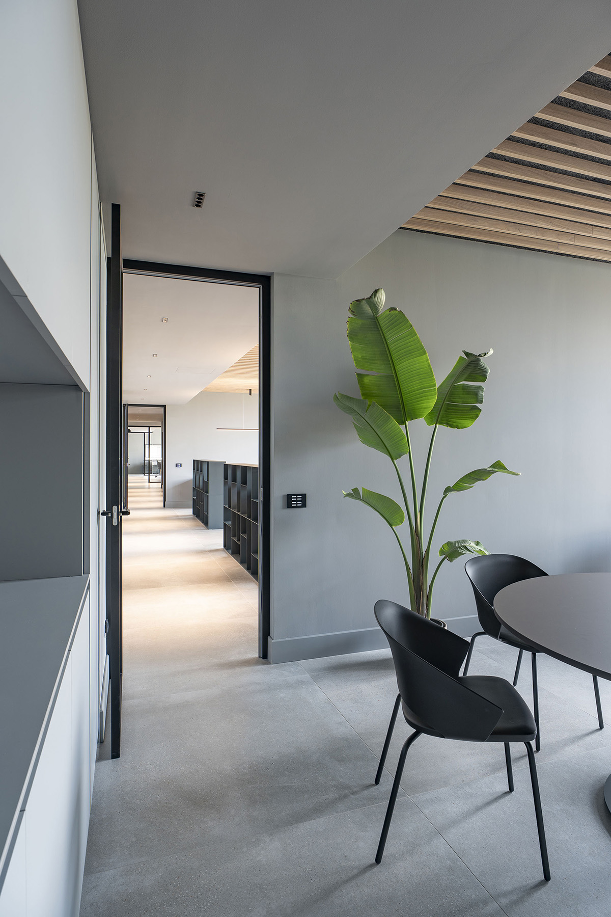 Mara Adercarta office